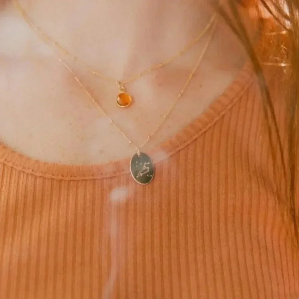 Leo Minimalist Zodiac Charm Oval Disc Necklace